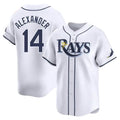 Tyler Alexander Tampa Bay Rays 14 Jersey