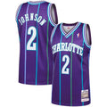 Larry Johnson Charlotte Hornets 2 Jersey