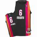 LeBron James Miami Heat 6 Jersey