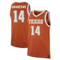 Alex Anamekwe Texas Longhorns 14 Jersey