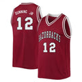 Barry Dunning Jr.Arkansas Razorbacks 12 Jersey