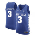 Bam Adebayo Kentucky Wildcats 3 Jersey