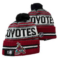 Arizona Coyotes Toque