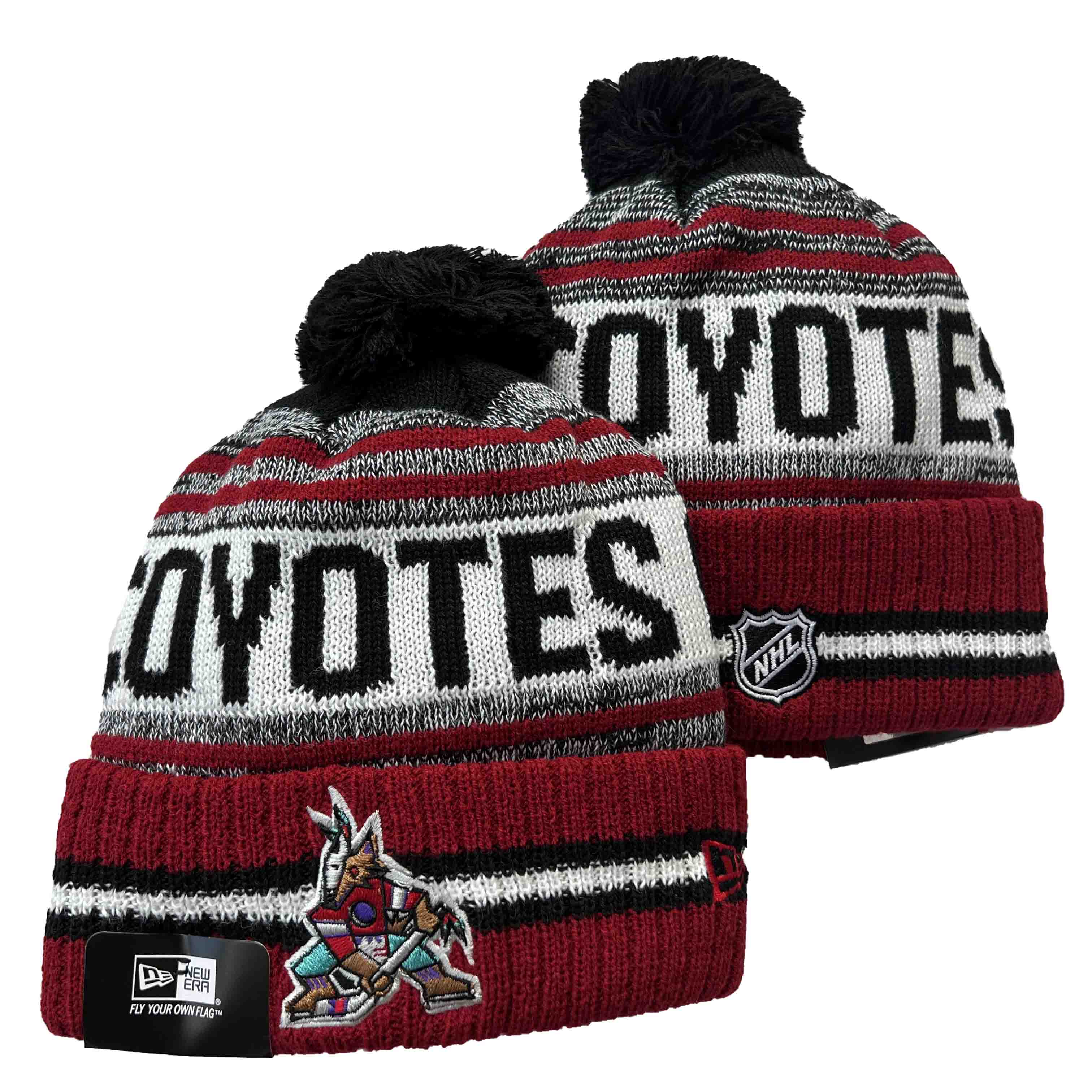 Arizona Coyotes Toque