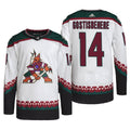 Shayne Gostisbehere Arizona Coyotes 14 Jersey