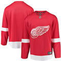 Detroit Red Wings Custom Jersey