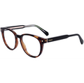 Polaroid Unisex 50 mm Brown Opticals