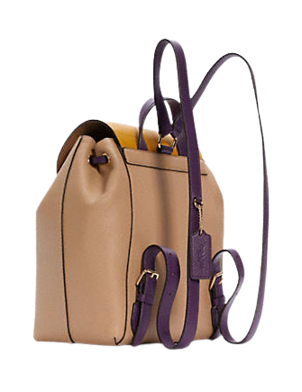 Coach Kleo Backpack In Colorblock