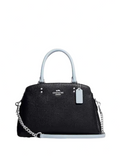 Coach Mini Lillie Carryall In Colorblock