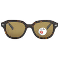 Ray Ban Erik Polarized Brown Square Unisex Sunglasses RB4398 902/57 51