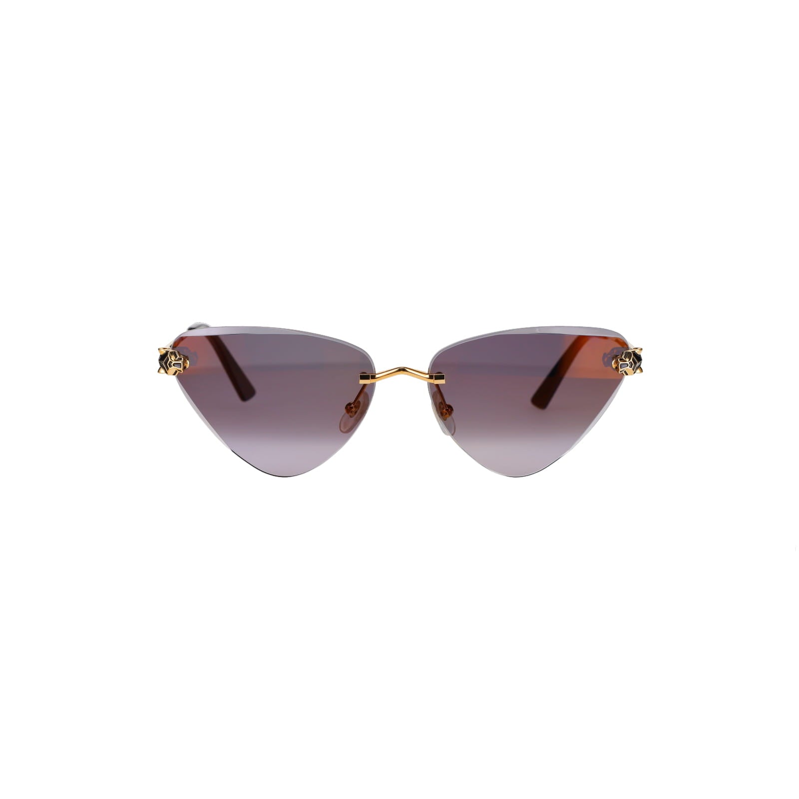 CT0399S Geometric Panthère Sunglasses