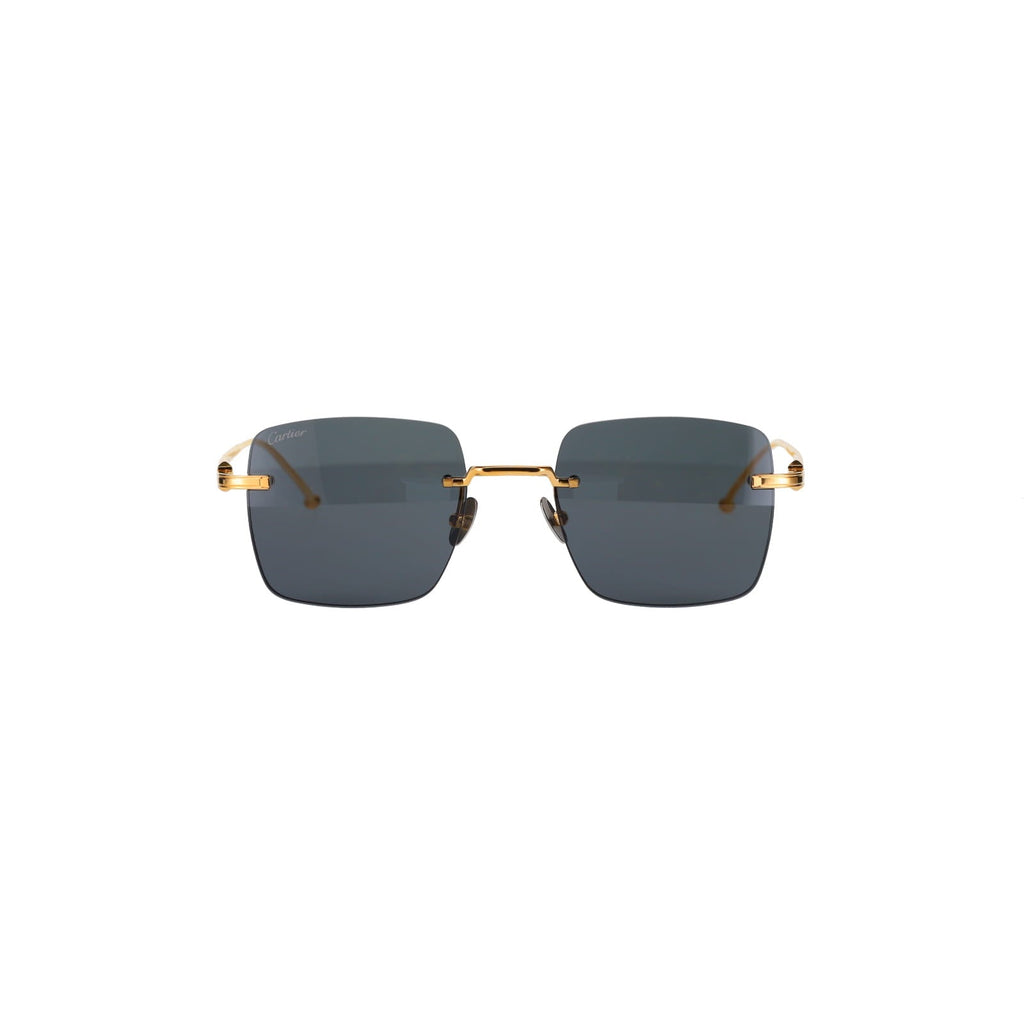 CT0403S Pasha Sunglasses