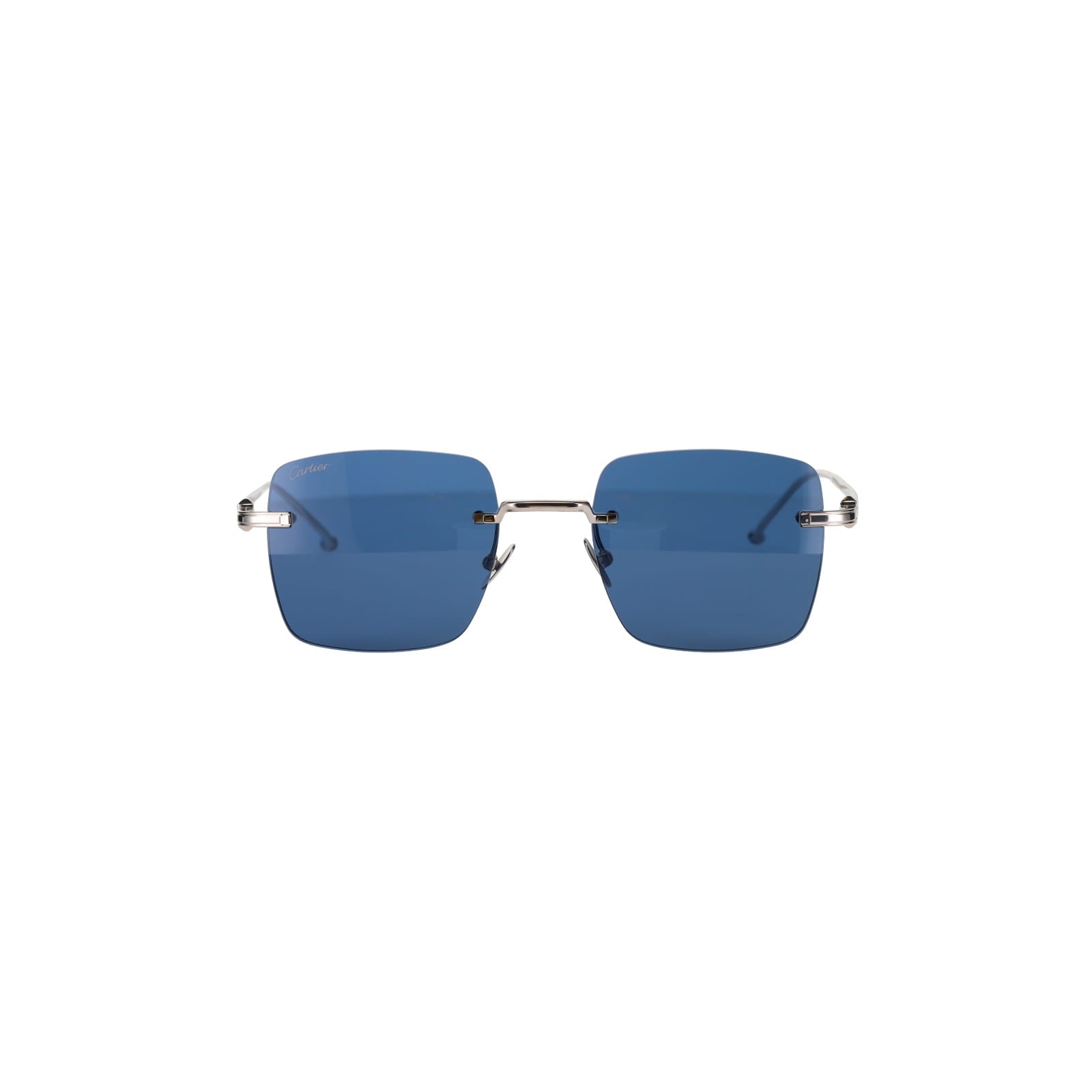 CT0403S Pasha Sunglasses