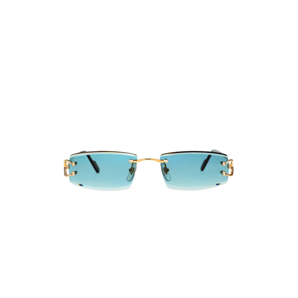 CT0465S Signature C  Rectangular Sunglasses