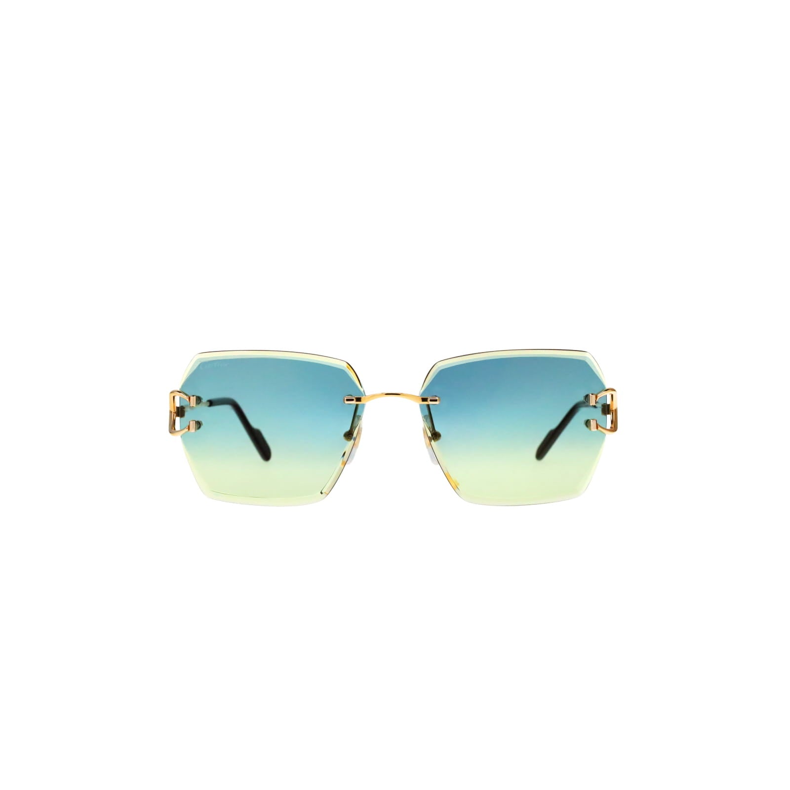 CT0466S  Signature C Sunglasses