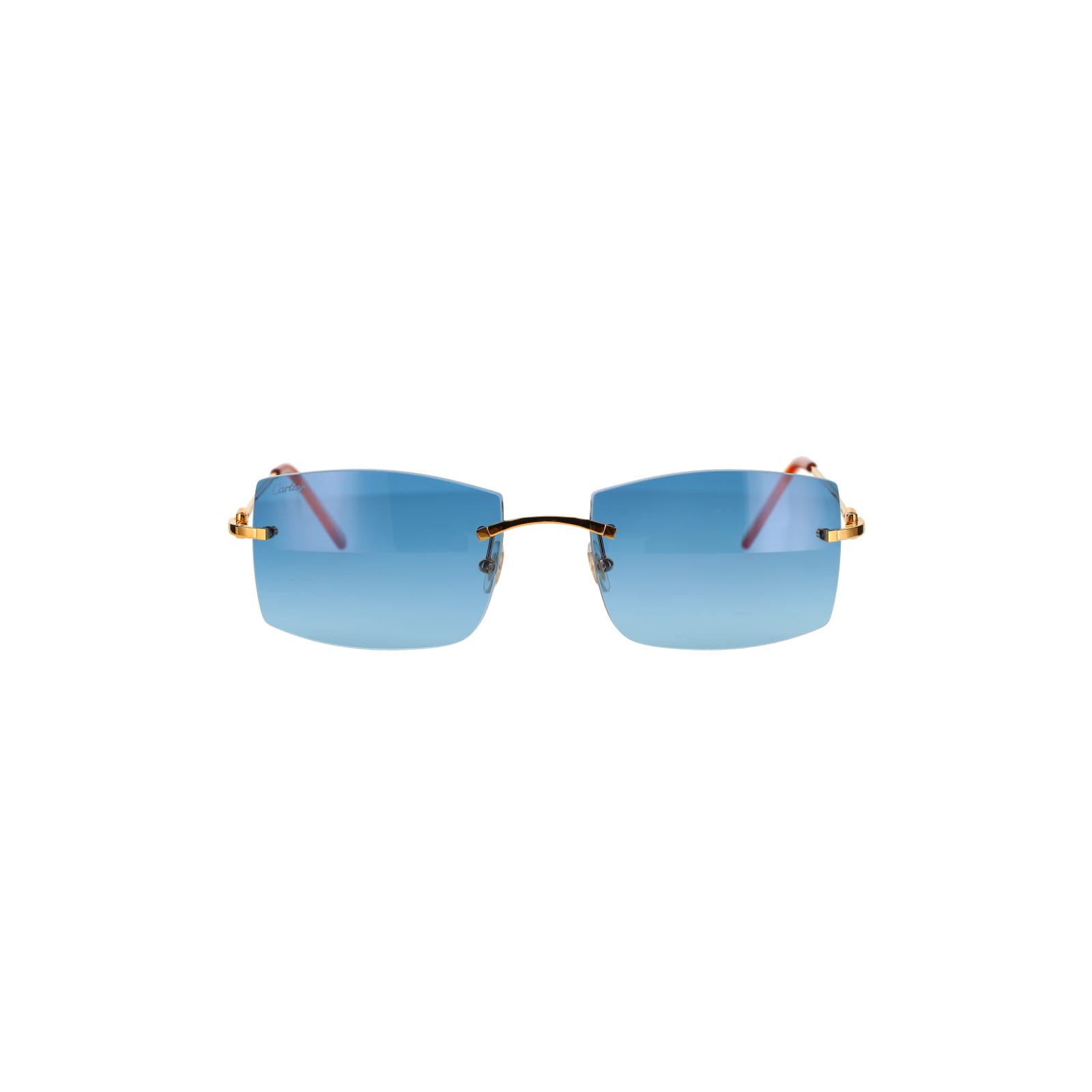 CT0005RS C Décor Sunglasses
