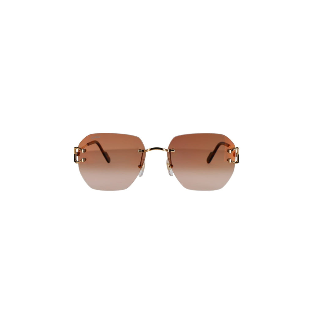 CT0394S Signature C Sunglasses