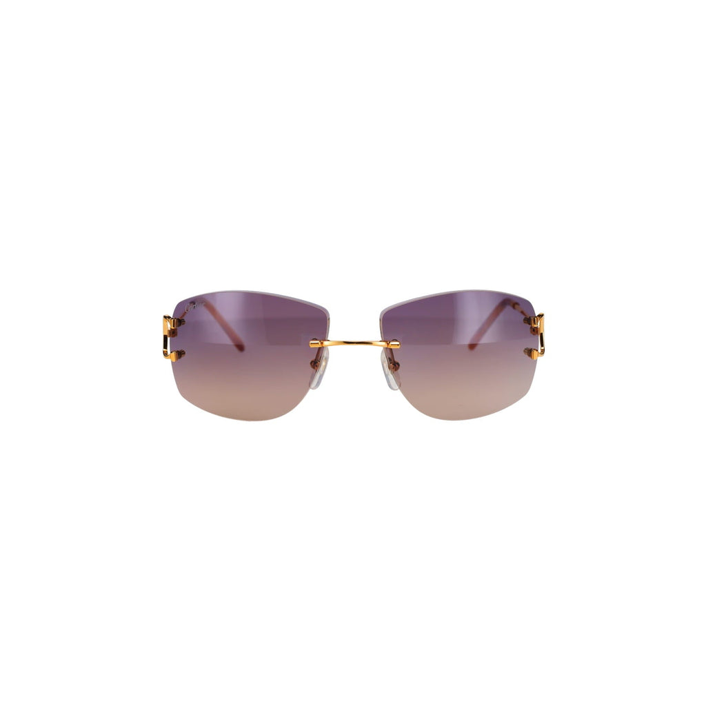 CT0008RS Signature C Sunglasses
