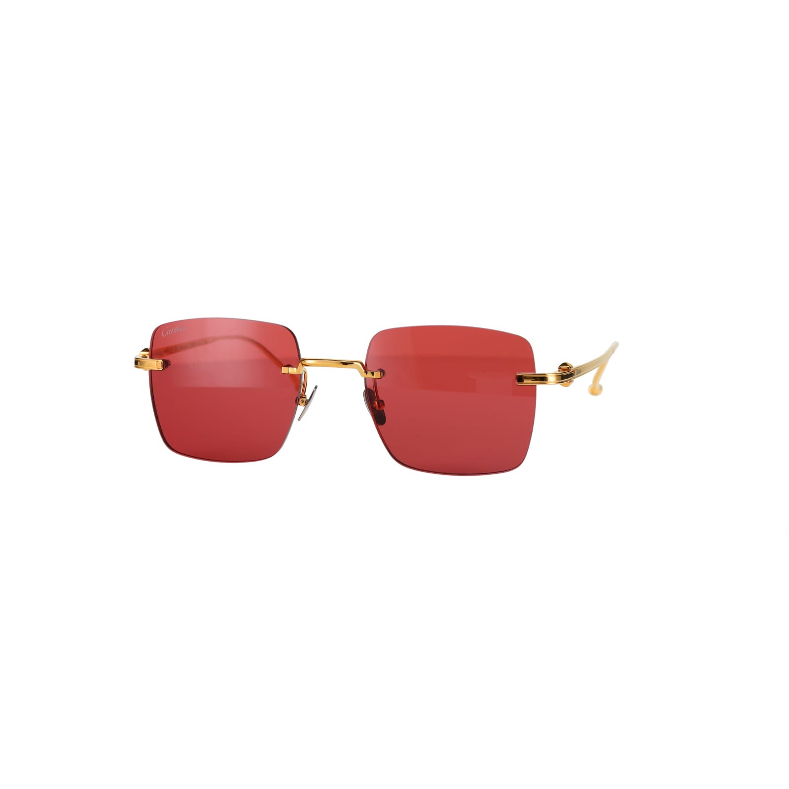 CT0403S Pasha Sunglasses