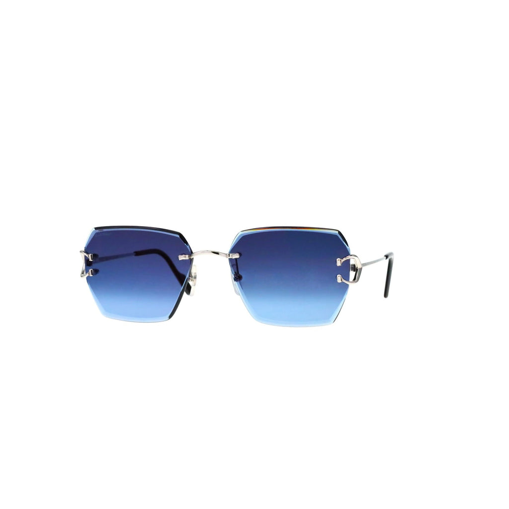 CT0466S  Signature C Sunglasses