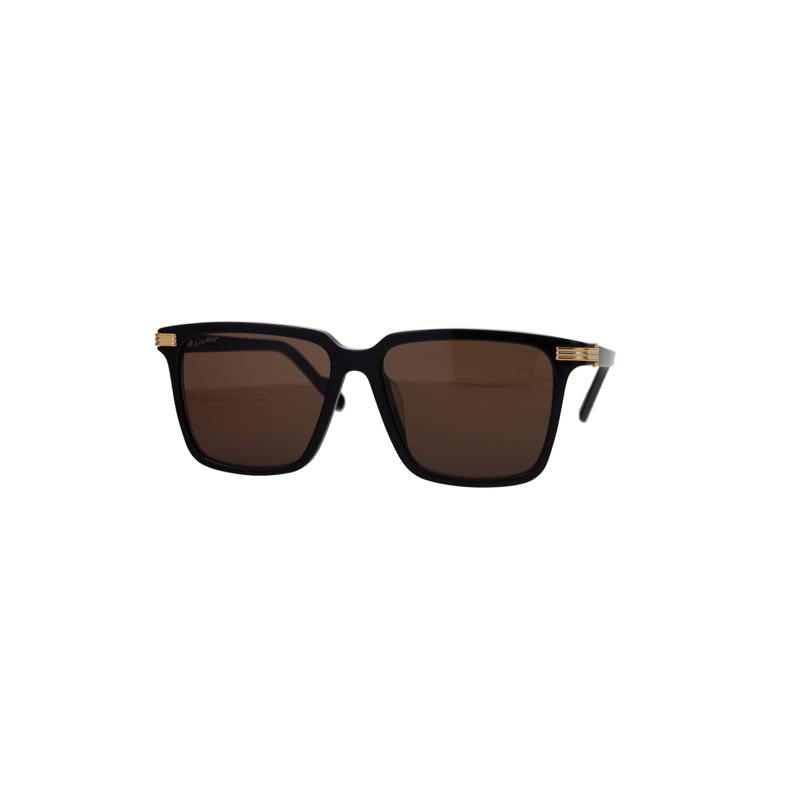 CT0366S Contemporary Acetate Sunglasses