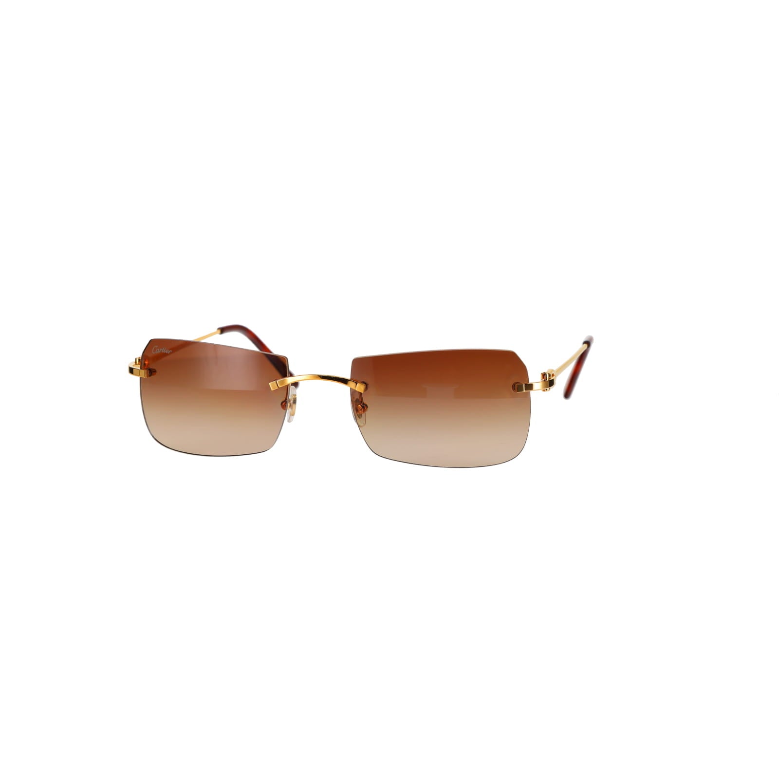 CT0006RS  C Décor Sunglasses