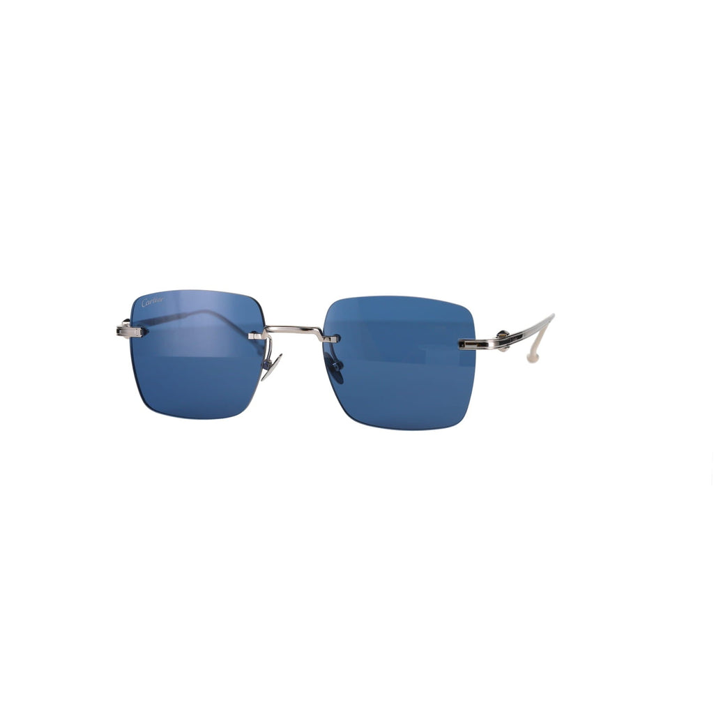 CT0403S Pasha Sunglasses
