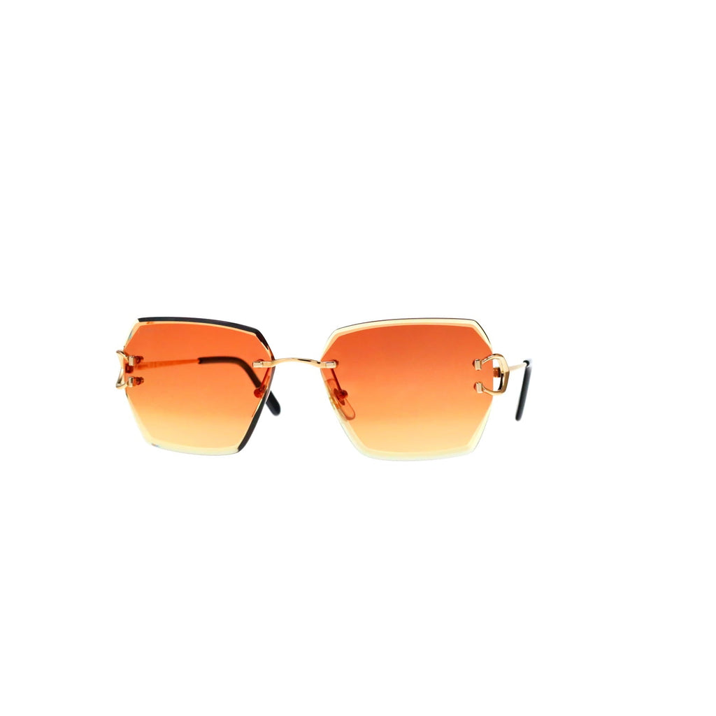 CT0466S  Signature C Sunglasses