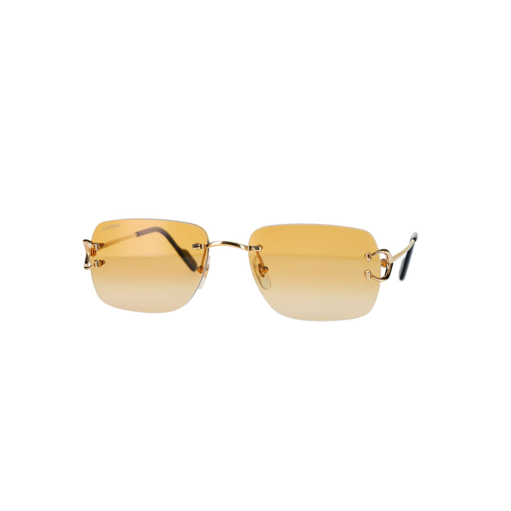 CT0330S Signature C  Sunglasses