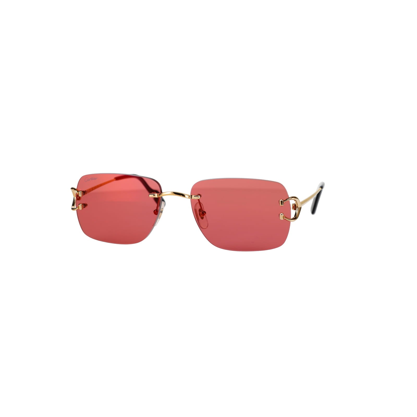 CT0330S Signature C  Sunglasses