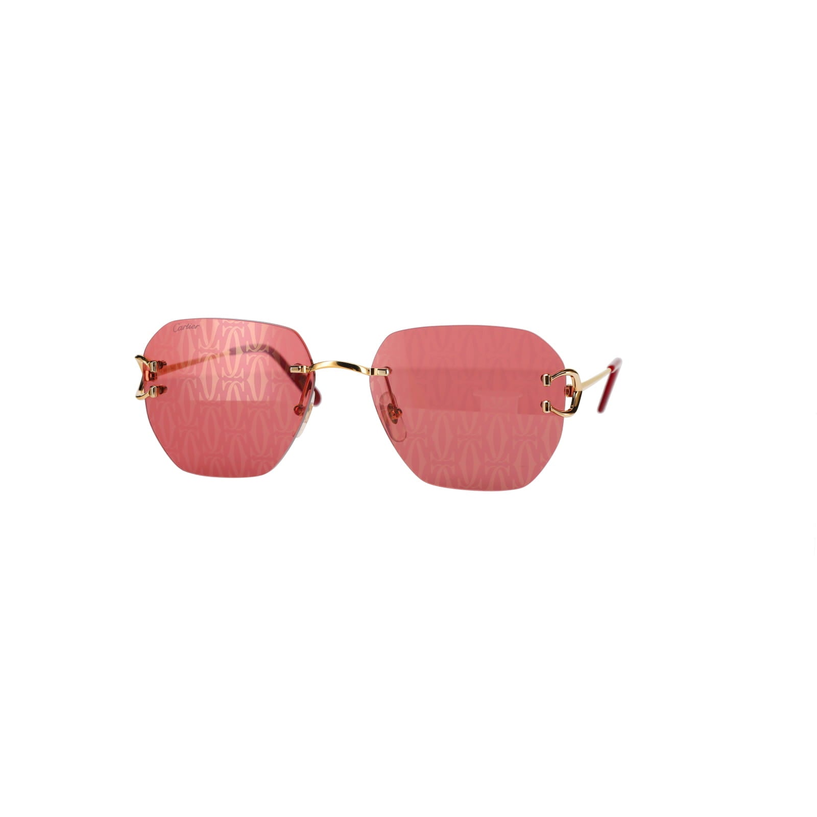 CT0394S Signature C Sunglasses