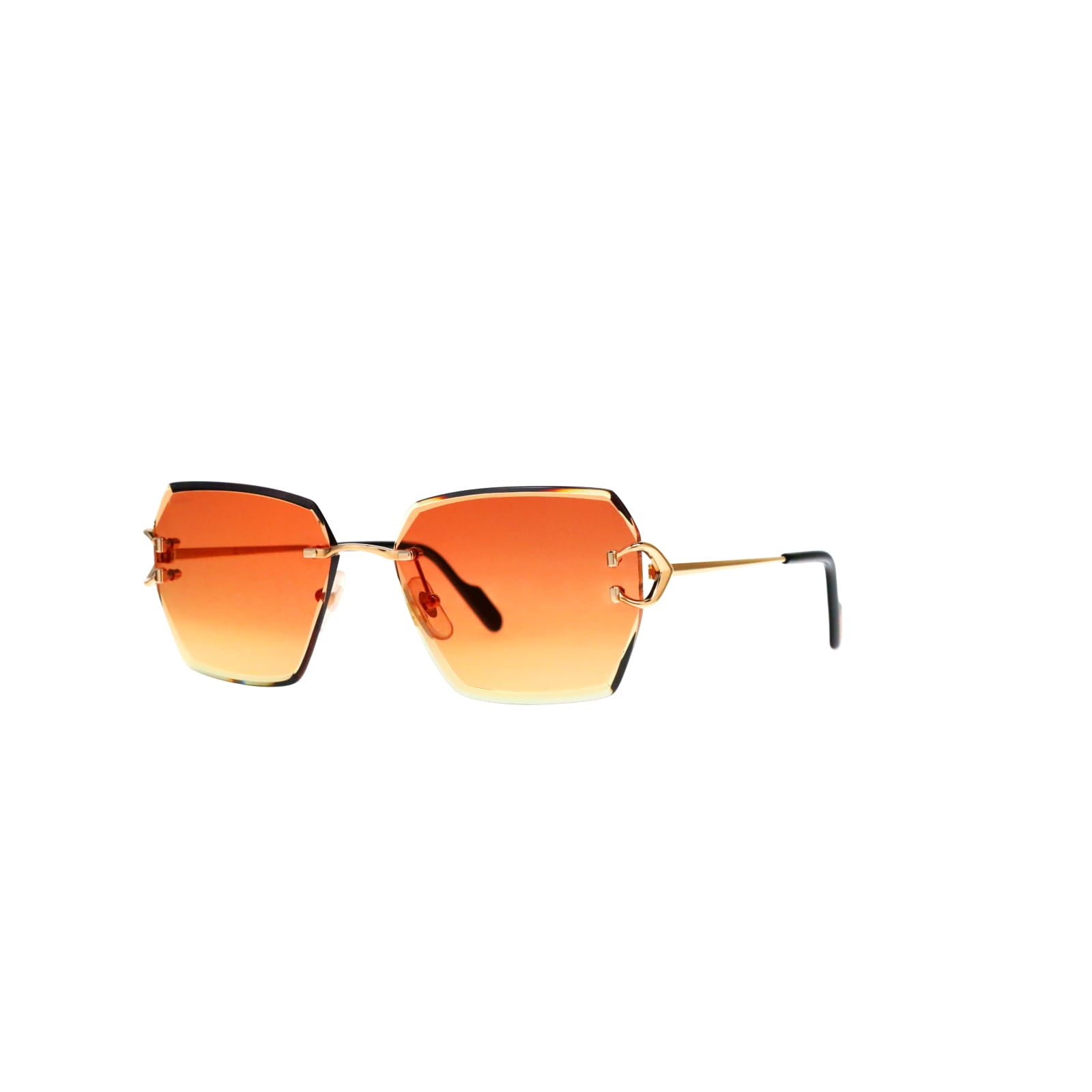 CT0466S  Signature C Sunglasses