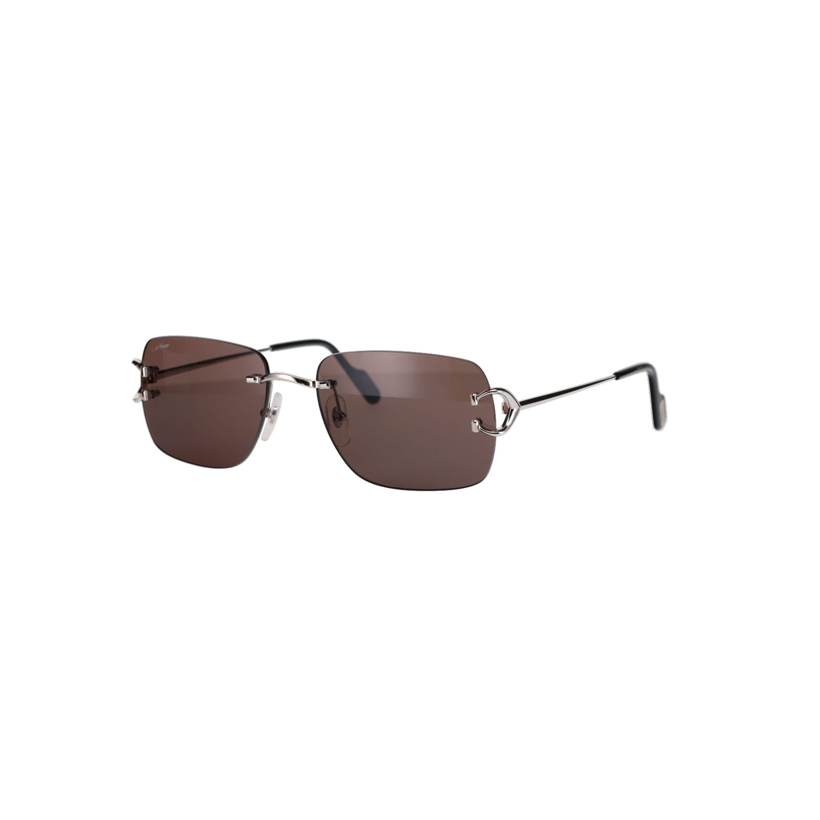 CT0330S Signature C  Sunglasses