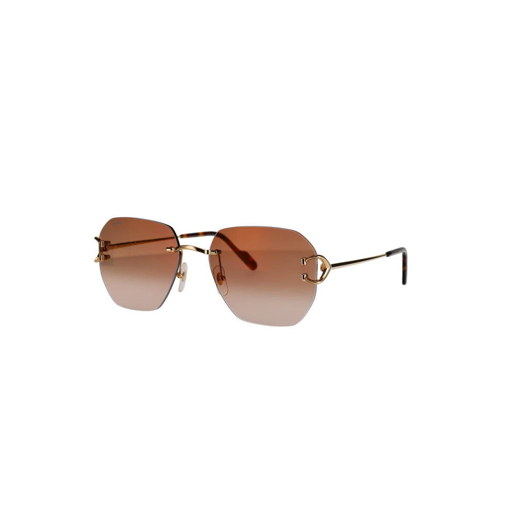 CT0394S Signature C Sunglasses