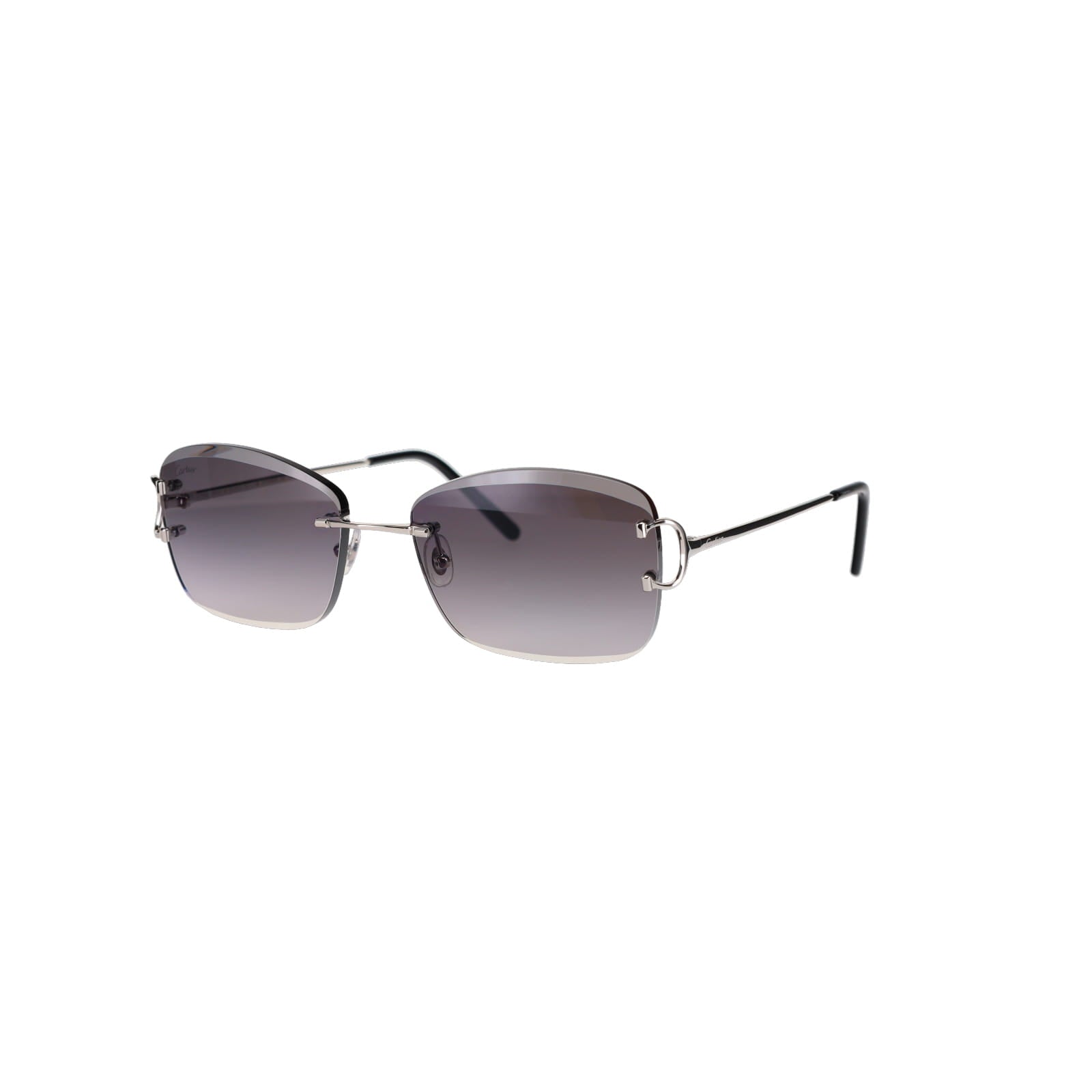 CT0010RS Signature C Sunglasses