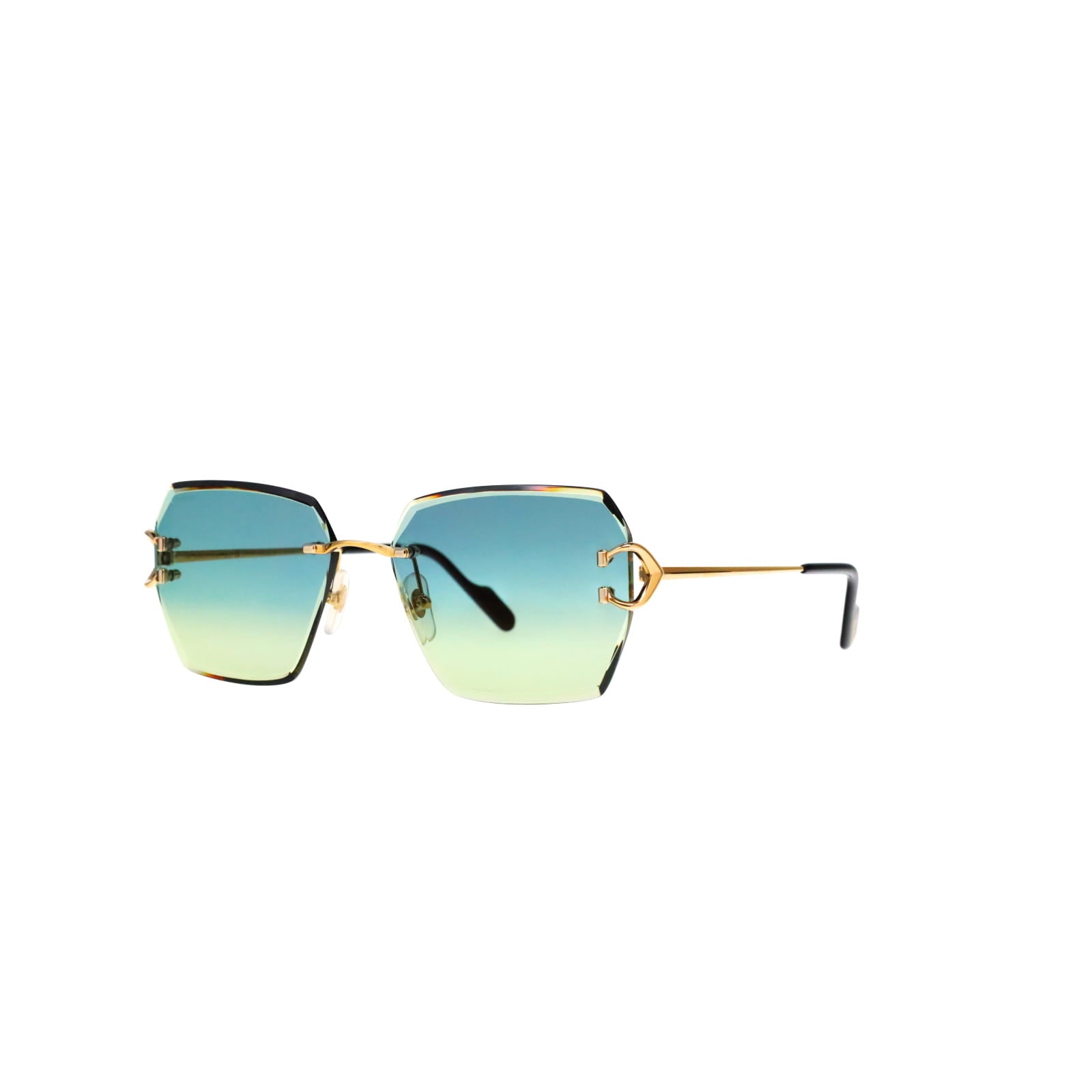 CT0466S  Signature C Sunglasses
