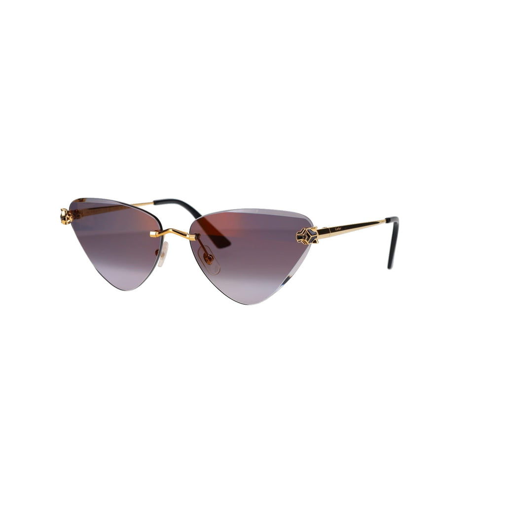 CT0399S Geometric Panthère Sunglasses