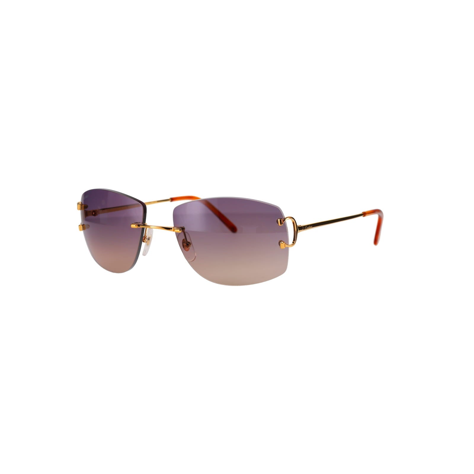CT0008RS Signature C Sunglasses