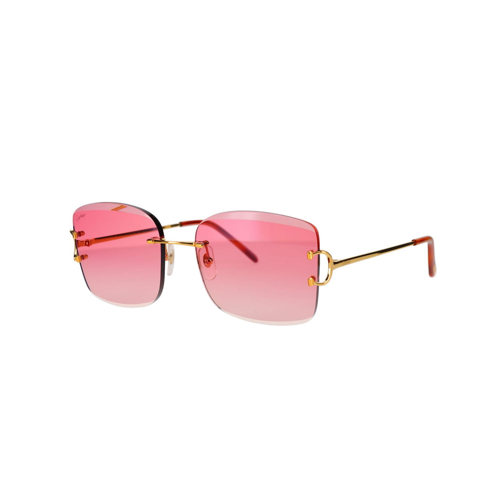 CT0007RS Signature C Sunglasses