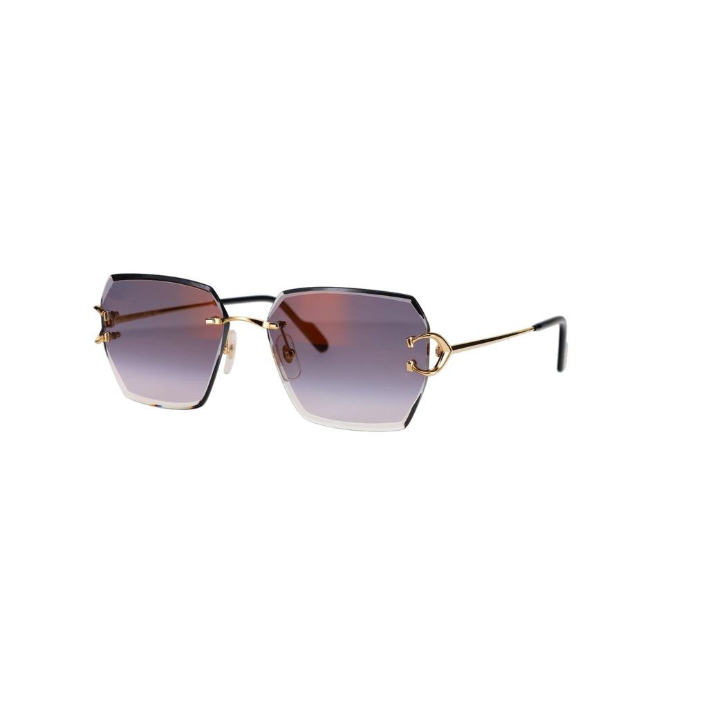 CT0466S  Signature C Sunglasses