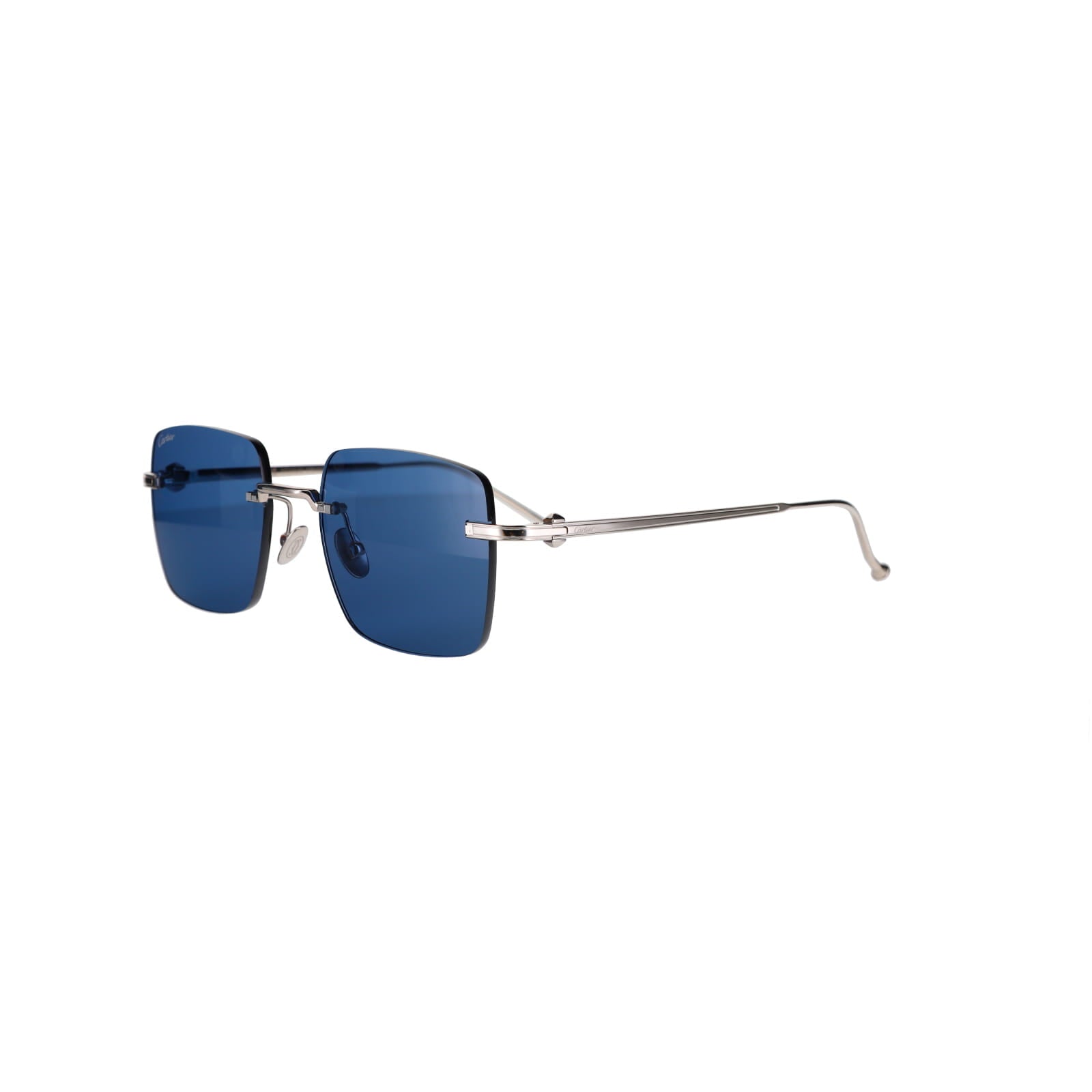 CT0403S Pasha Sunglasses