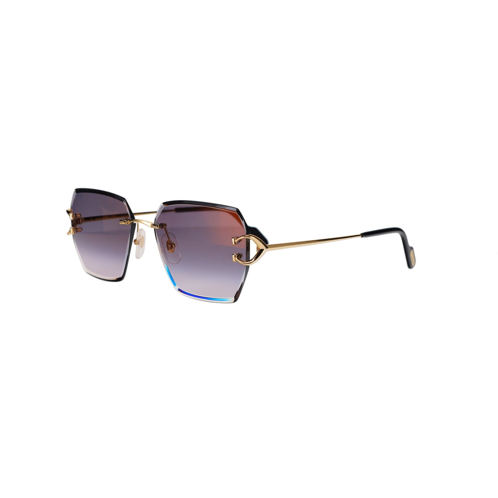 CT0466S  Signature C Sunglasses