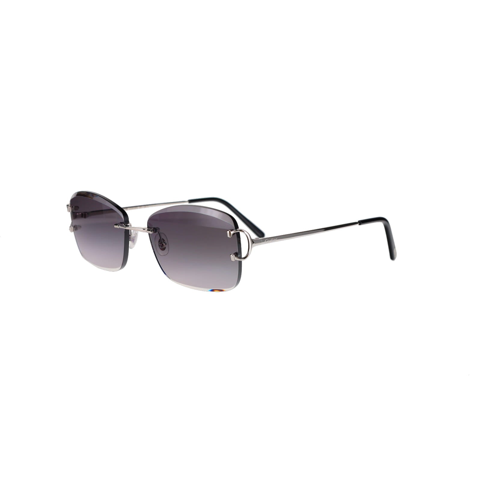 CT0010RS Signature C Sunglasses