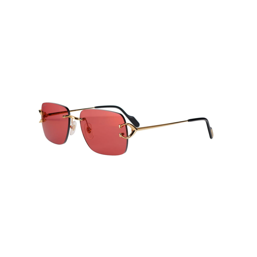 CT0330S Signature C  Sunglasses
