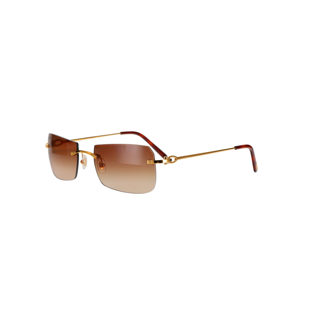 CT0006RS  C Décor Sunglasses