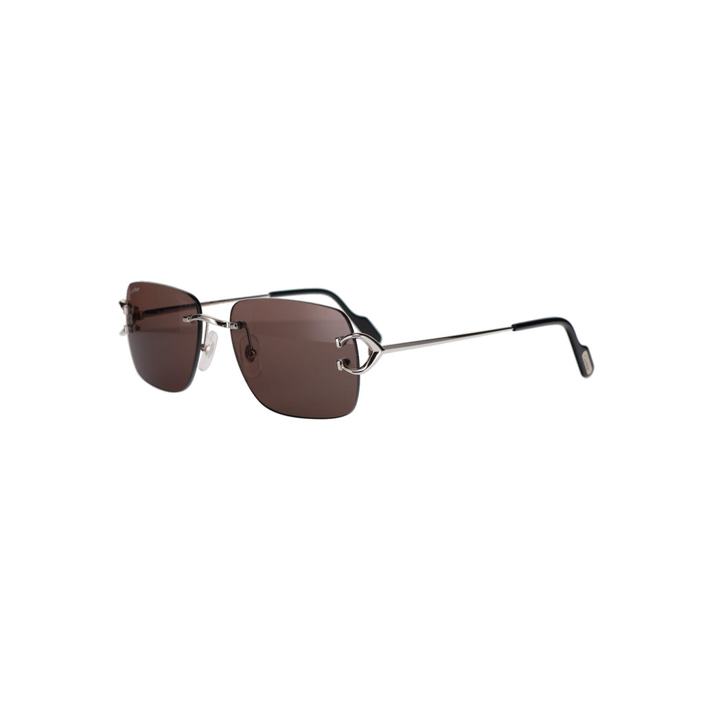CT0330S Signature C  Sunglasses