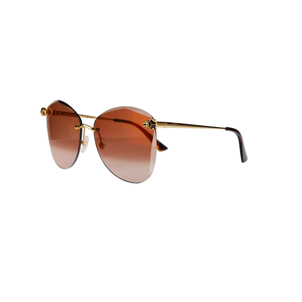 CT0398S Cat-eye Panthère Sunglasses