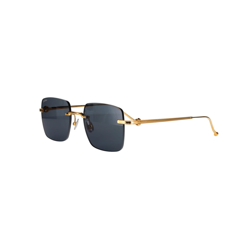 CT0403S Pasha Sunglasses
