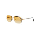 CT0330S Signature C  Sunglasses