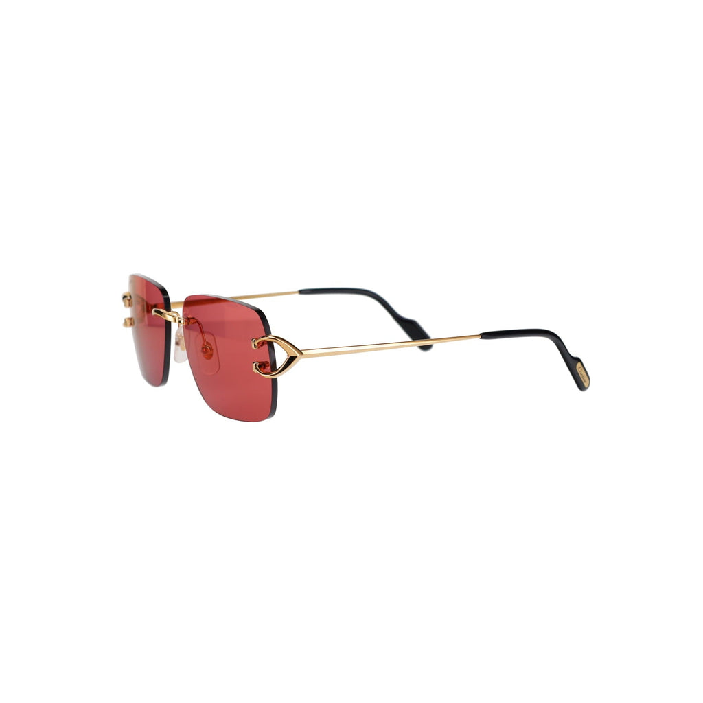 CT0330S Signature C  Sunglasses